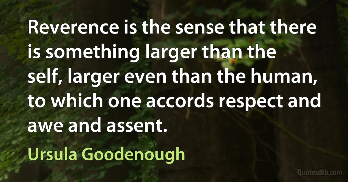 Reverence is the sense that there is something larger than the self, larger even than the human, to which one accords respect and awe and assent. (Ursula Goodenough)