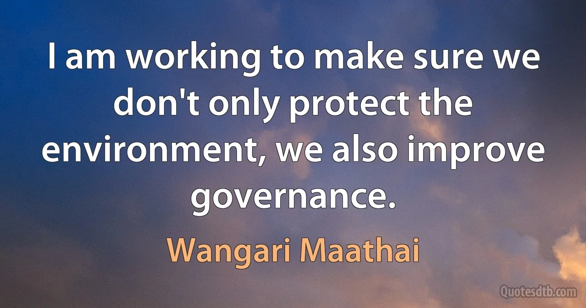 I am working to make sure we don't only protect the environment, we also improve governance. (Wangari Maathai)