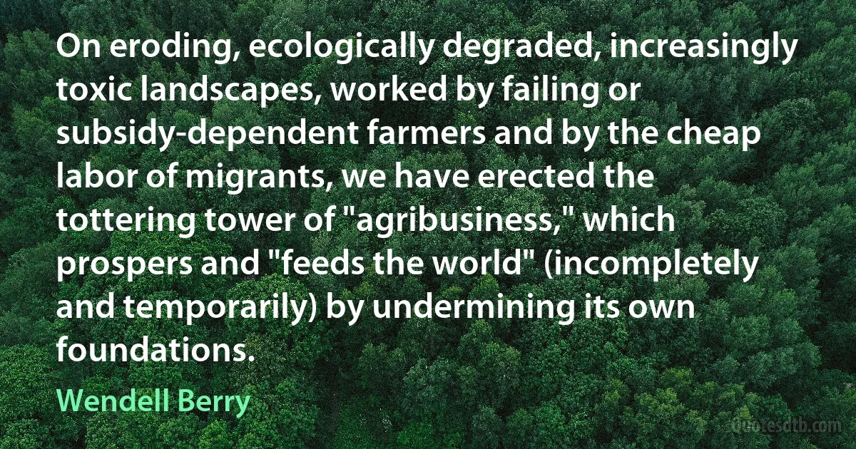 On eroding, ecologically degraded, increasingly toxic landscapes, worked by failing or subsidy-dependent farmers and by the cheap labor of migrants, we have erected the tottering tower of "agribusiness," which prospers and "feeds the world" (incompletely and temporarily) by undermining its own foundations. (Wendell Berry)