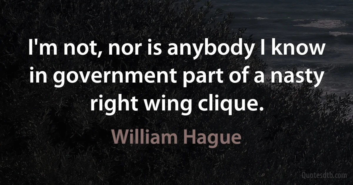 I'm not, nor is anybody I know in government part of a nasty right wing clique. (William Hague)