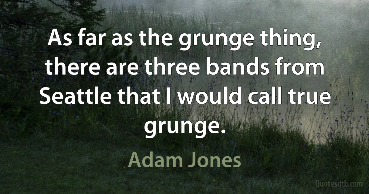 As far as the grunge thing, there are three bands from Seattle that I would call true grunge. (Adam Jones)