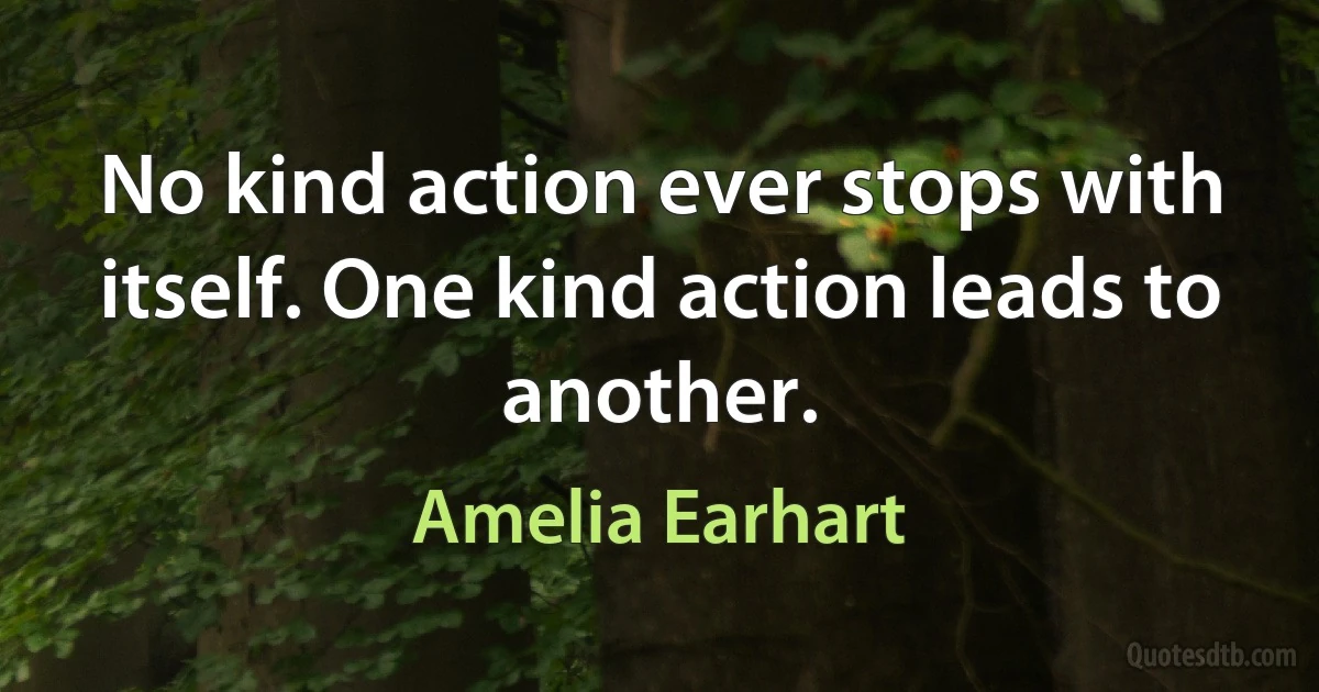 No kind action ever stops with itself. One kind action leads to another. (Amelia Earhart)