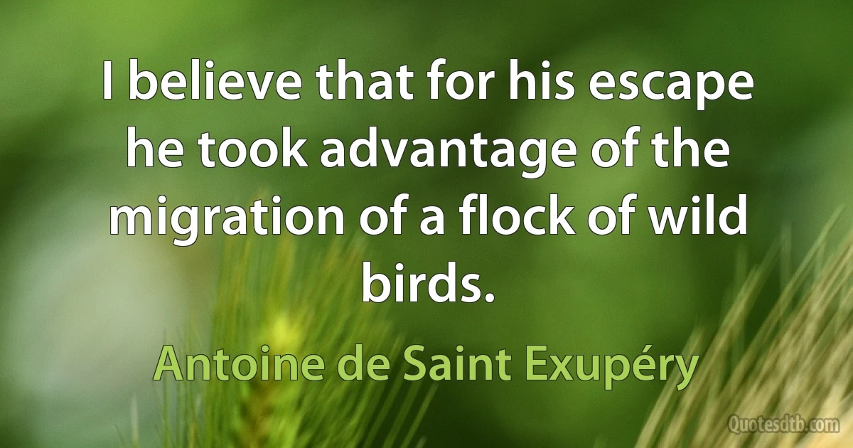 I believe that for his escape he took advantage of the migration of a flock of wild birds. (Antoine de Saint Exupéry)