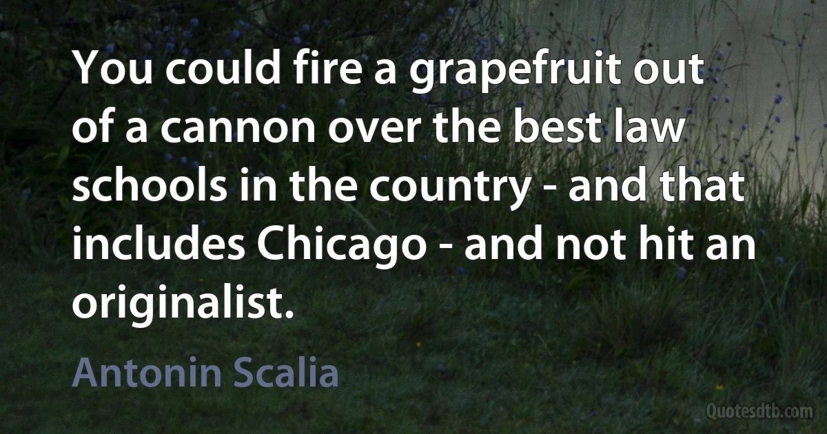 You could fire a grapefruit out of a cannon over the best law schools in the country - and that includes Chicago - and not hit an originalist. (Antonin Scalia)