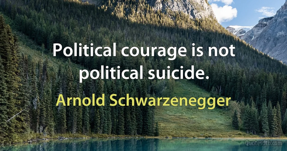 Political courage is not political suicide. (Arnold Schwarzenegger)