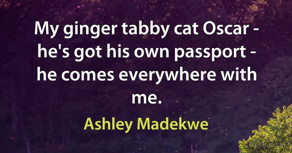 My ginger tabby cat Oscar - he's got his own passport - he comes everywhere with me. (Ashley Madekwe)