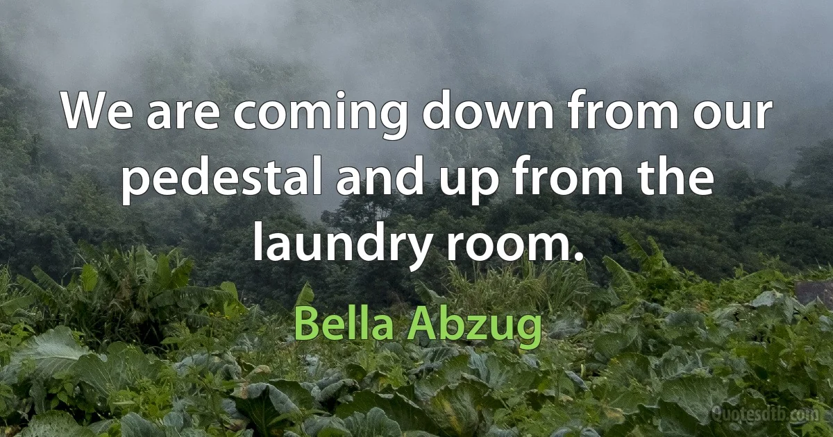 We are coming down from our pedestal and up from the laundry room. (Bella Abzug)