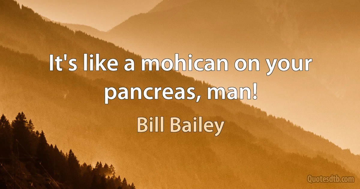 It's like a mohican on your pancreas, man! (Bill Bailey)