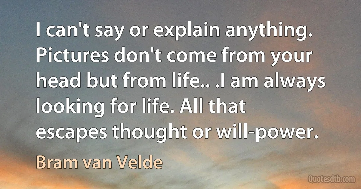 I can't say or explain anything. Pictures don't come from your head but from life.. .I am always looking for life. All that escapes thought or will-power. (Bram van Velde)