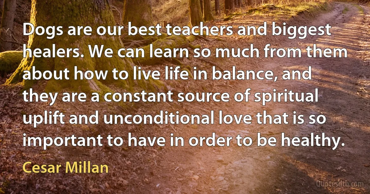 Dogs are our best teachers and biggest healers. We can learn so much from them about how to live life in balance, and they are a constant source of spiritual uplift and unconditional love that is so important to have in order to be healthy. (Cesar Millan)