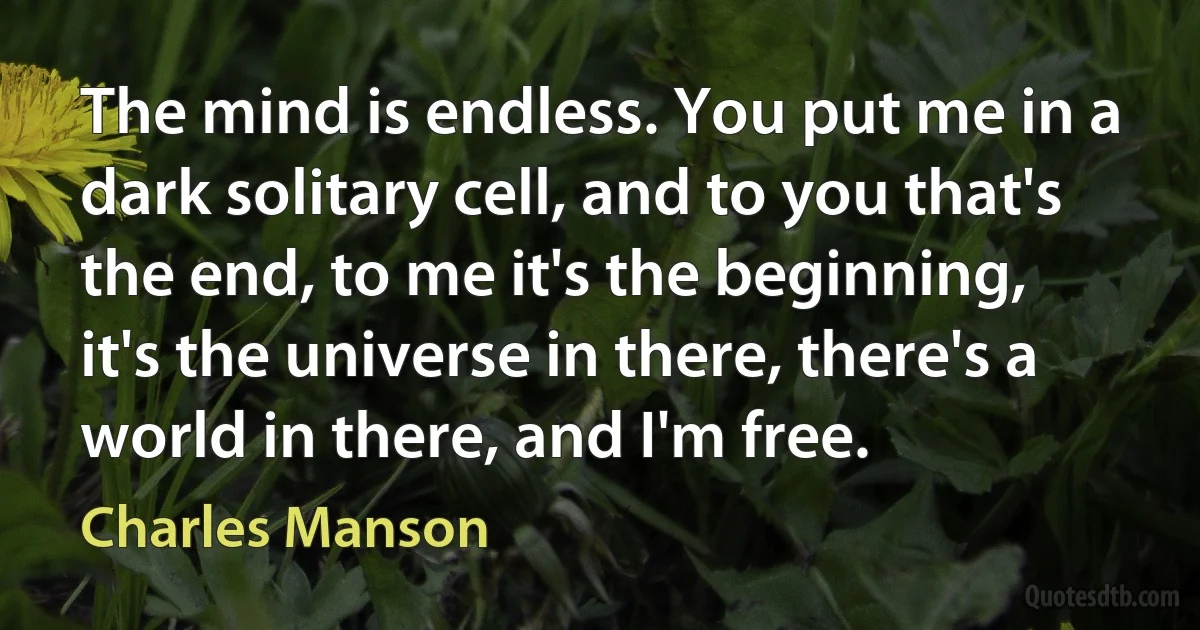 The mind is endless. You put me in a dark solitary cell, and to you that's the end, to me it's the beginning, it's the universe in there, there's a world in there, and I'm free. (Charles Manson)