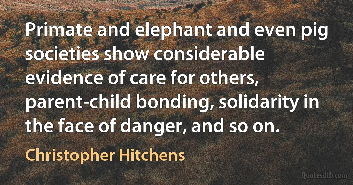 Primate and elephant and even pig societies show considerable evidence of care for others, parent-child bonding, solidarity in the face of danger, and so on. (Christopher Hitchens)