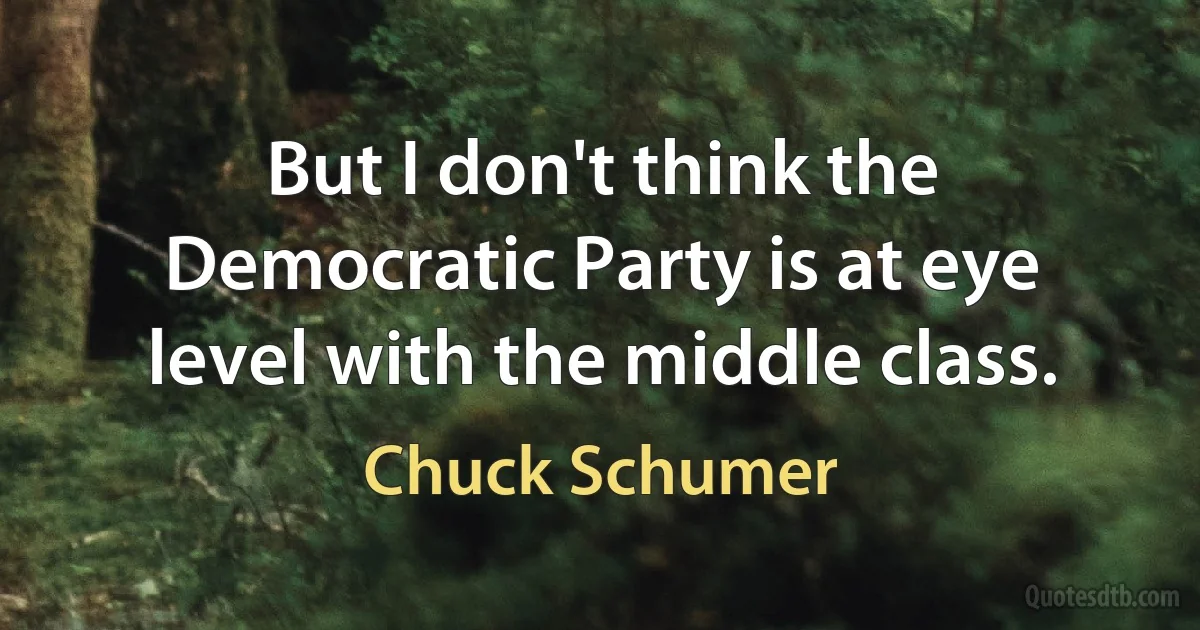 But I don't think the Democratic Party is at eye level with the middle class. (Chuck Schumer)