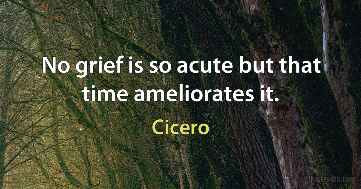 No grief is so acute but that time ameliorates it. (Cicero)