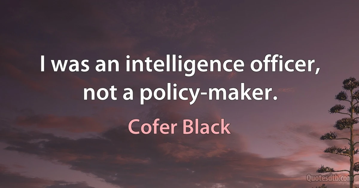 I was an intelligence officer, not a policy-maker. (Cofer Black)