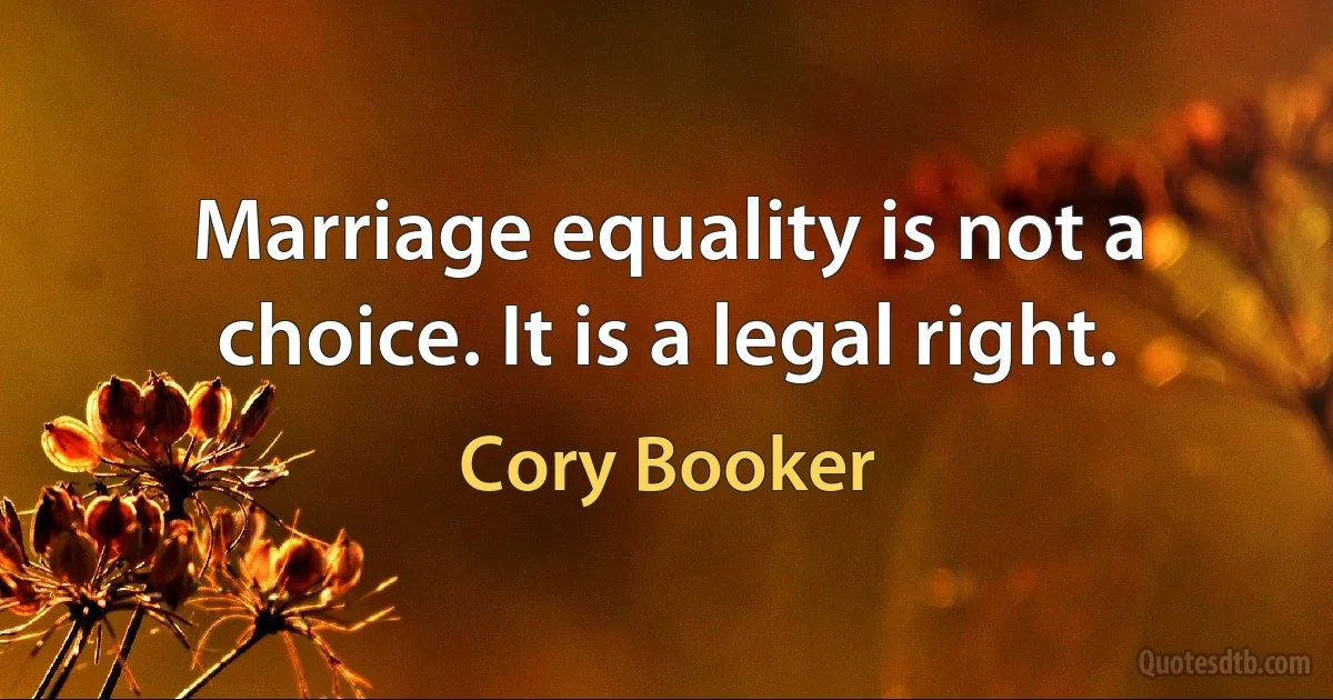 Marriage equality is not a choice. It is a legal right. (Cory Booker)