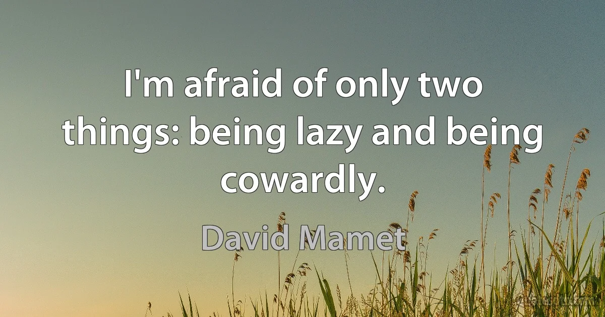 I'm afraid of only two things: being lazy and being cowardly. (David Mamet)