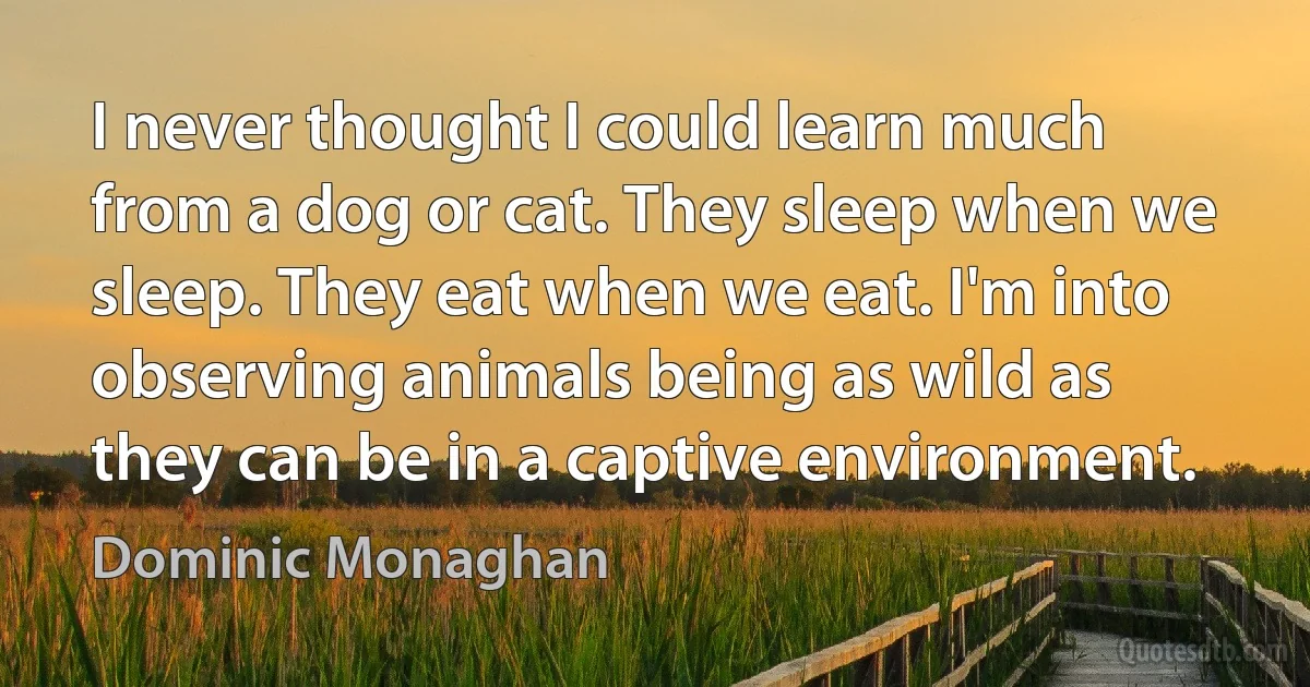 I never thought I could learn much from a dog or cat. They sleep when we sleep. They eat when we eat. I'm into observing animals being as wild as they can be in a captive environment. (Dominic Monaghan)