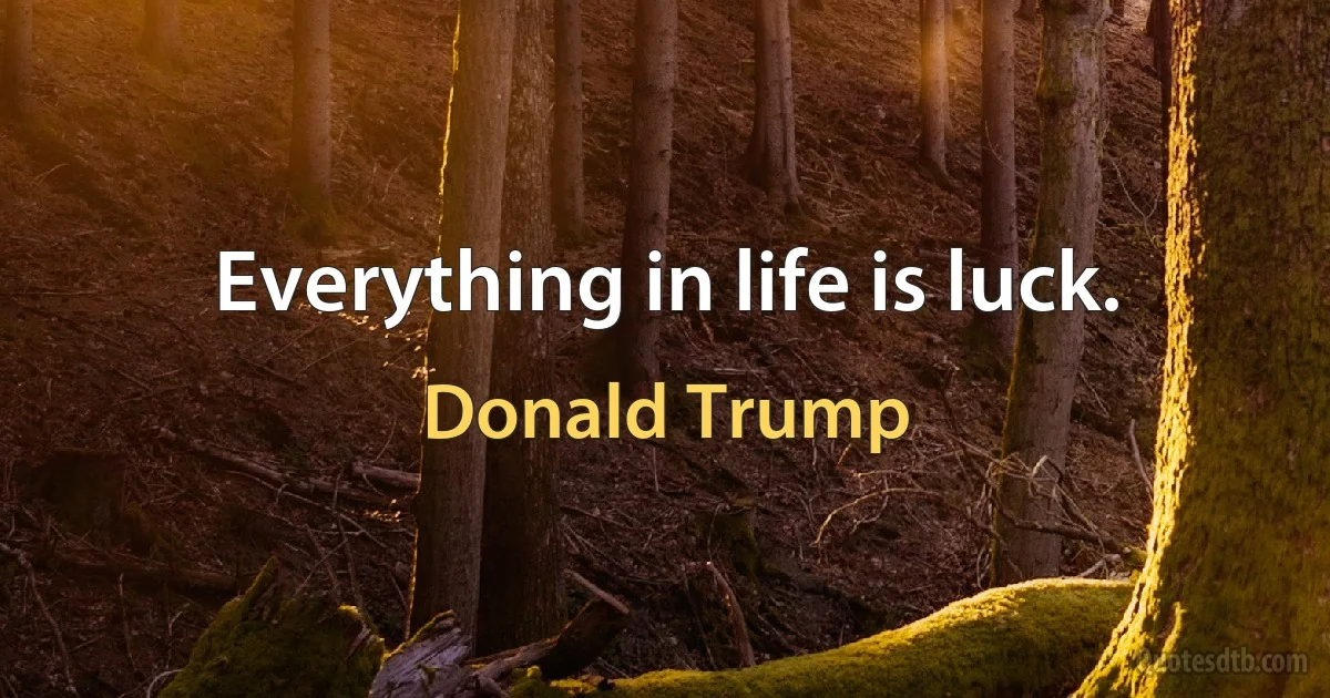 Everything in life is luck. (Donald Trump)