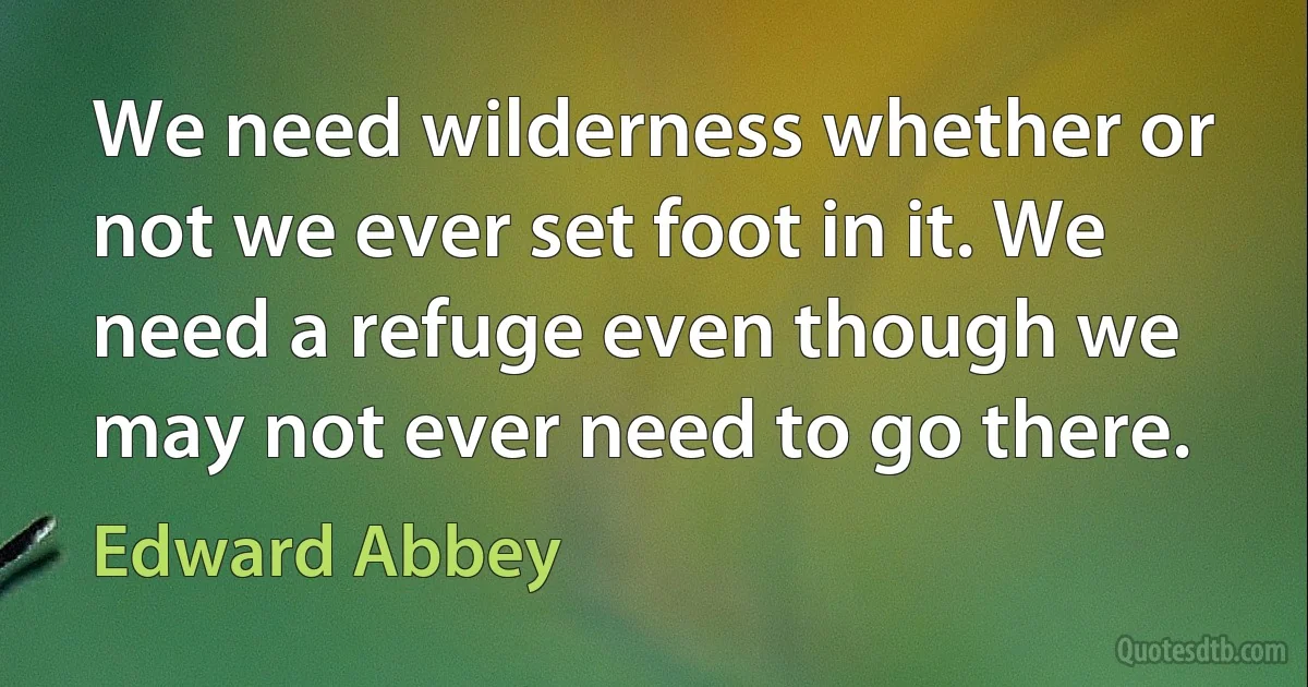 We need wilderness whether or not we ever set foot in it. We need a refuge even though we may not ever need to go there. (Edward Abbey)