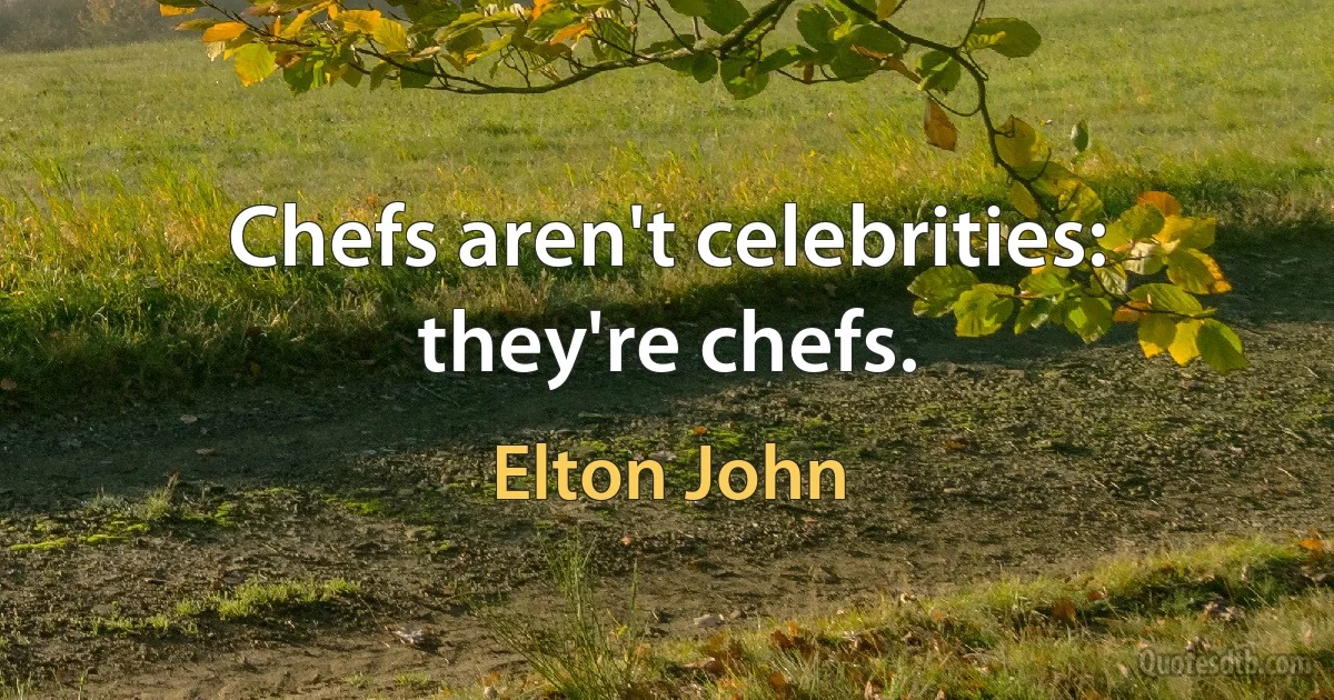 Chefs aren't celebrities: they're chefs. (Elton John)