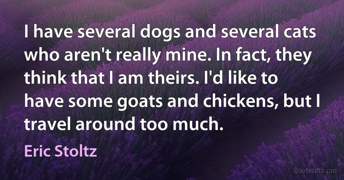 I have several dogs and several cats who aren't really mine. In fact, they think that I am theirs. I'd like to have some goats and chickens, but I travel around too much. (Eric Stoltz)