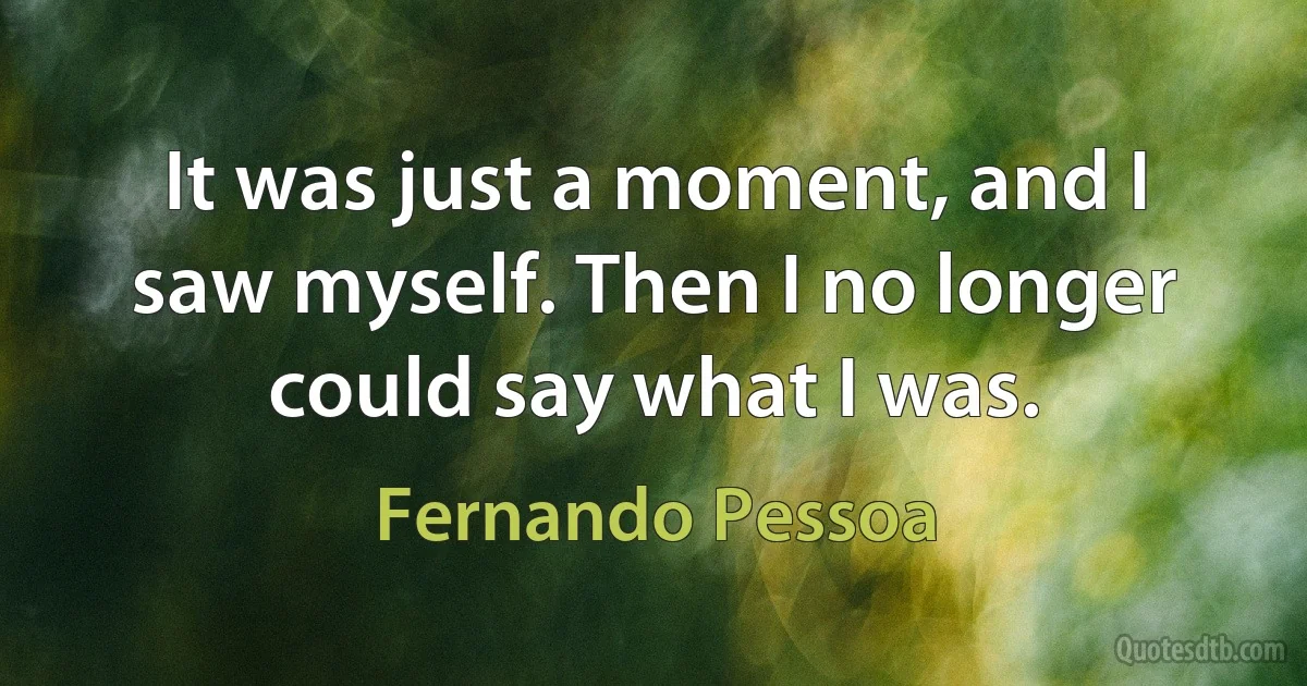 It was just a moment, and I saw myself. Then I no longer could say what I was. (Fernando Pessoa)