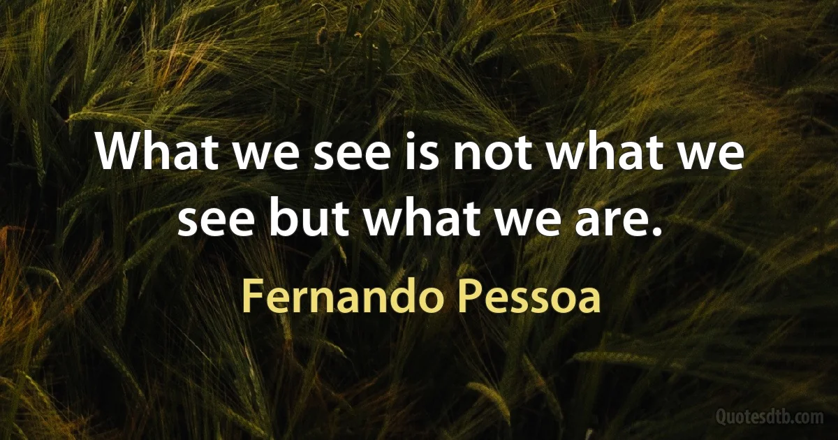 What we see is not what we see but what we are. (Fernando Pessoa)