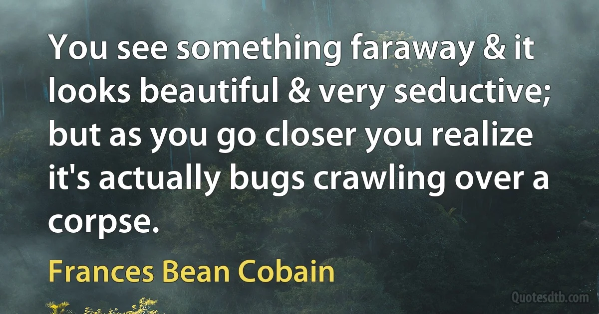 You see something faraway & it looks beautiful & very seductive; but as you go closer you realize it's actually bugs crawling over a corpse. (Frances Bean Cobain)