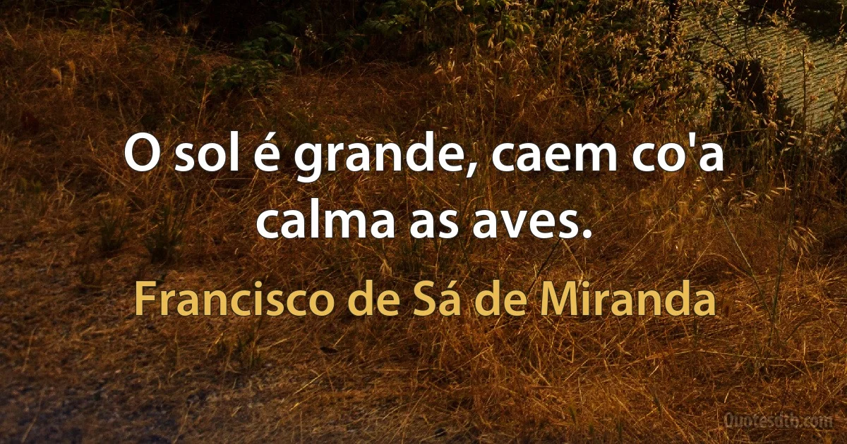 O sol é grande, caem co'a calma as aves. (Francisco de Sá de Miranda)