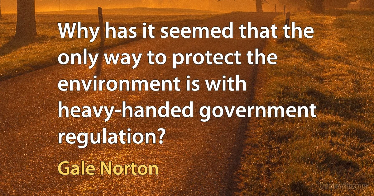 Why has it seemed that the only way to protect the environment is with heavy-handed government regulation? (Gale Norton)