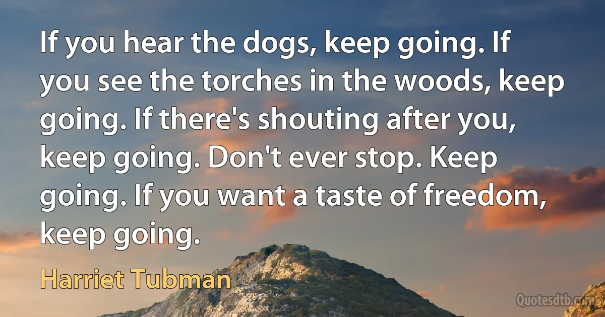 If you hear the dogs, keep going. If you see the torches in the woods, keep going. If there's shouting after you, keep going. Don't ever stop. Keep going. If you want a taste of freedom, keep going. (Harriet Tubman)