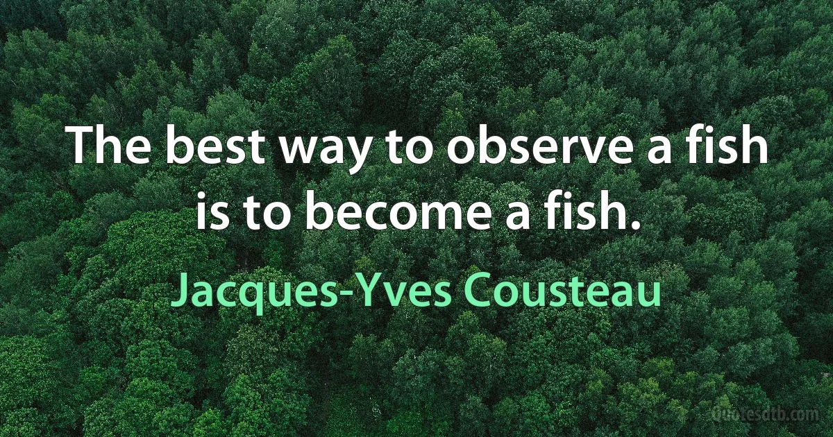 The best way to observe a fish is to become a fish. (Jacques-Yves Cousteau)