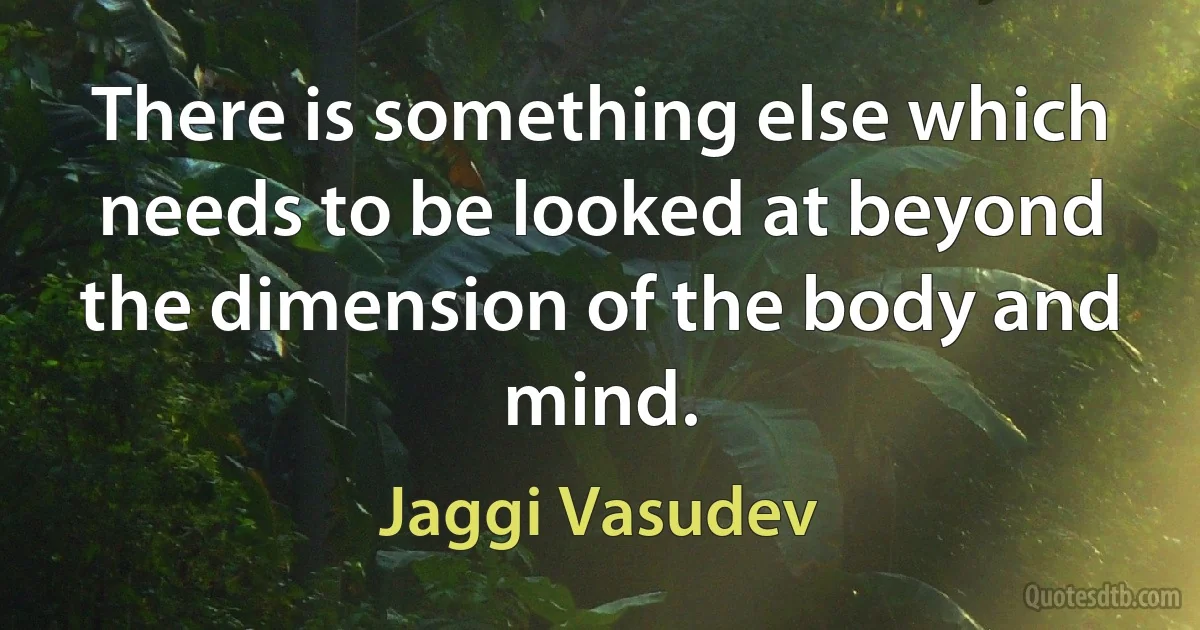 There is something else which needs to be looked at beyond the dimension of the body and mind. (Jaggi Vasudev)