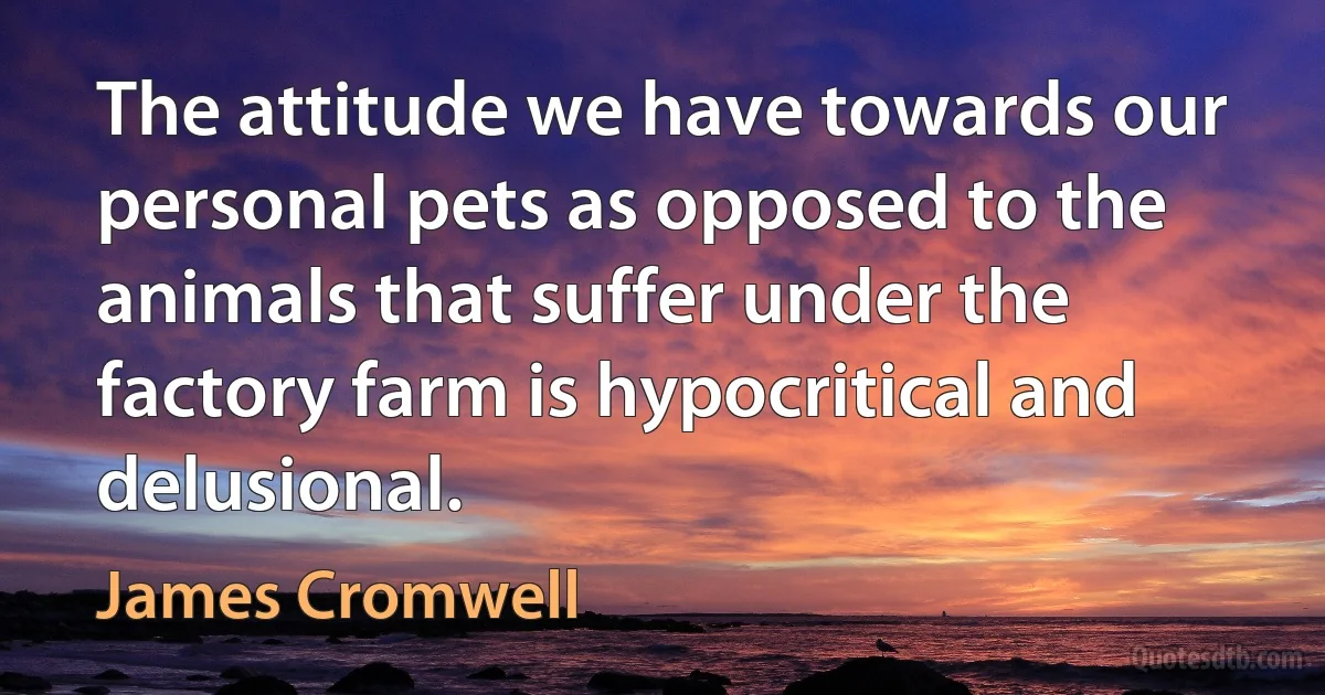 The attitude we have towards our personal pets as opposed to the animals that suffer under the factory farm is hypocritical and delusional. (James Cromwell)