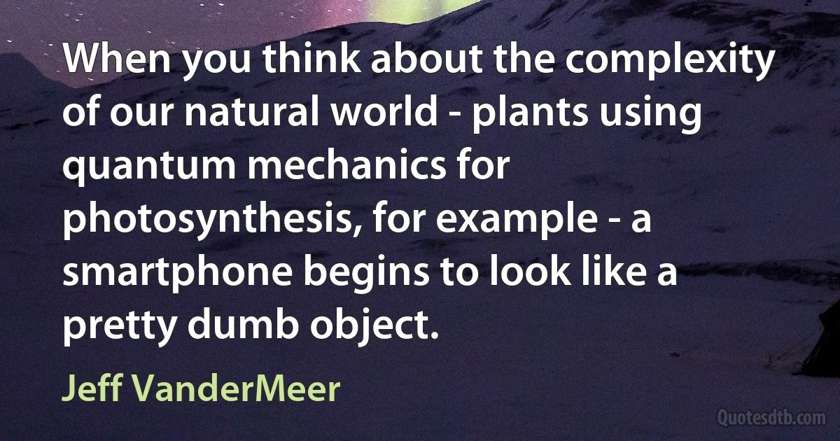 When you think about the complexity of our natural world - plants using quantum mechanics for photosynthesis, for example - a smartphone begins to look like a pretty dumb object. (Jeff VanderMeer)