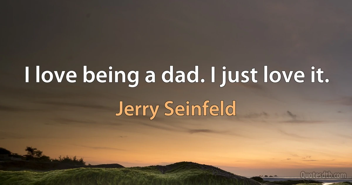 I love being a dad. I just love it. (Jerry Seinfeld)