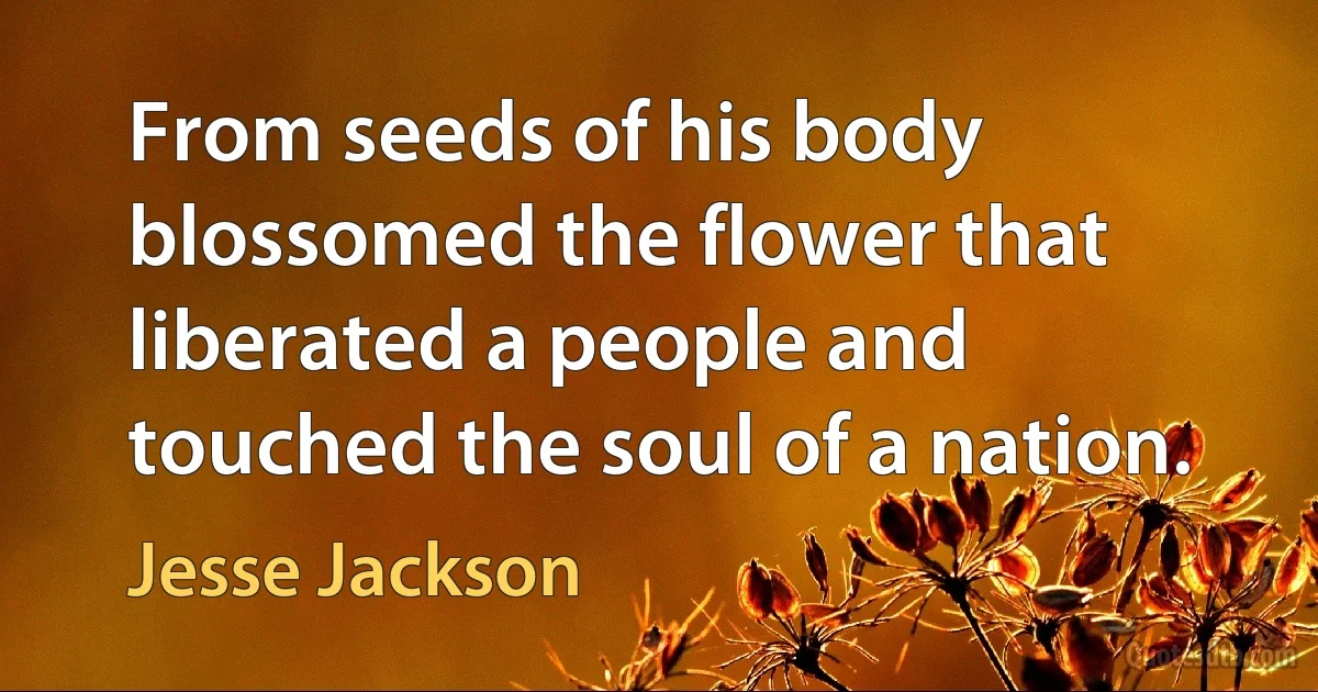 From seeds of his body blossomed the flower that liberated a people and touched the soul of a nation. (Jesse Jackson)