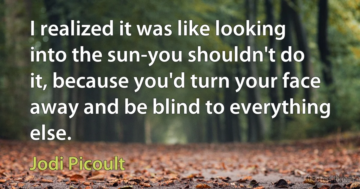 I realized it was like looking into the sun-you shouldn't do it, because you'd turn your face away and be blind to everything else. (Jodi Picoult)