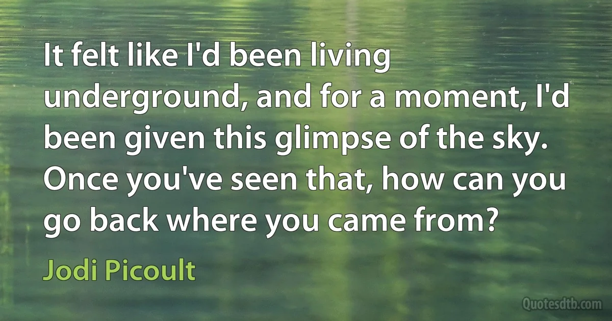 It felt like I'd been living underground, and for a moment, I'd been given this glimpse of the sky. Once you've seen that, how can you go back where you came from? (Jodi Picoult)