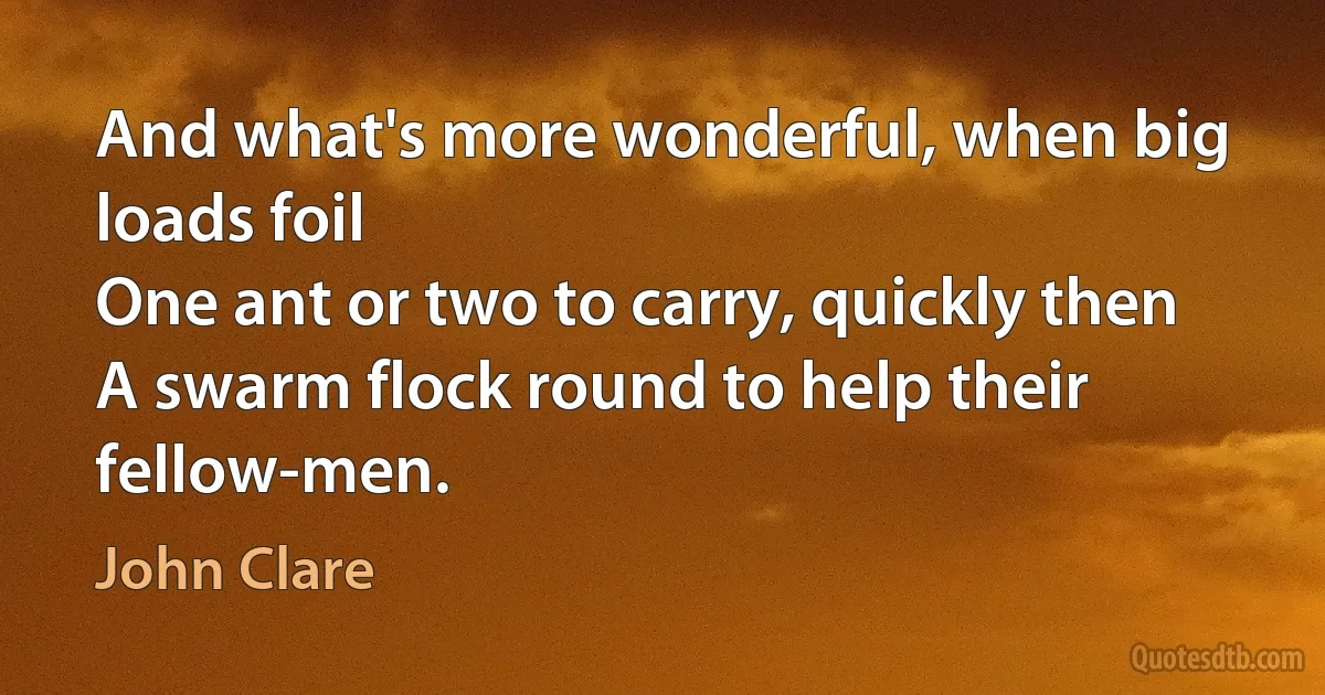 And what's more wonderful, when big loads foil
One ant or two to carry, quickly then
A swarm flock round to help their fellow-men. (John Clare)