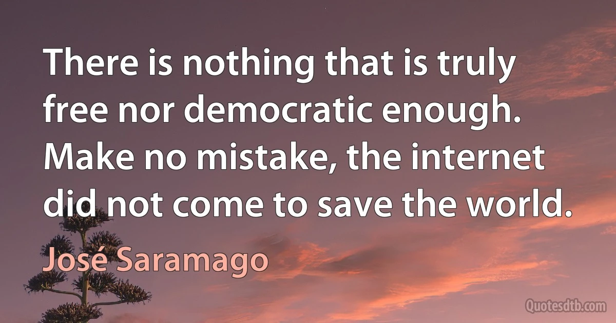 There is nothing that is truly free nor democratic enough. Make no mistake, the internet did not come to save the world. (José Saramago)