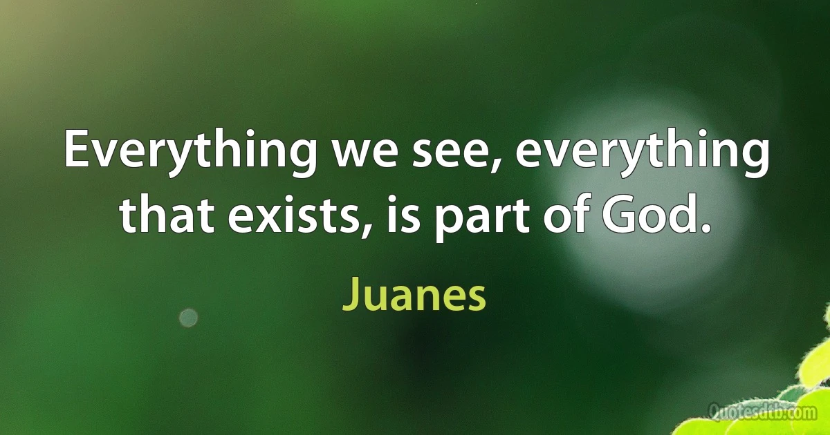 Everything we see, everything that exists, is part of God. (Juanes)