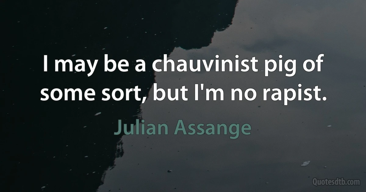 I may be a chauvinist pig of some sort, but I'm no rapist. (Julian Assange)