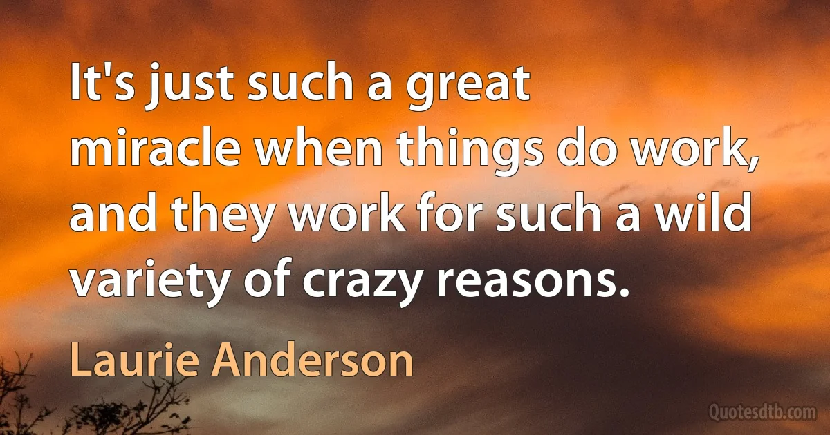 It's just such a great miracle when things do work, and they work for such a wild variety of crazy reasons. (Laurie Anderson)