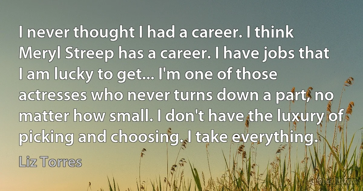 I never thought I had a career. I think Meryl Streep has a career. I have jobs that I am lucky to get... I'm one of those actresses who never turns down a part, no matter how small. I don't have the luxury of picking and choosing. I take everything. (Liz Torres)