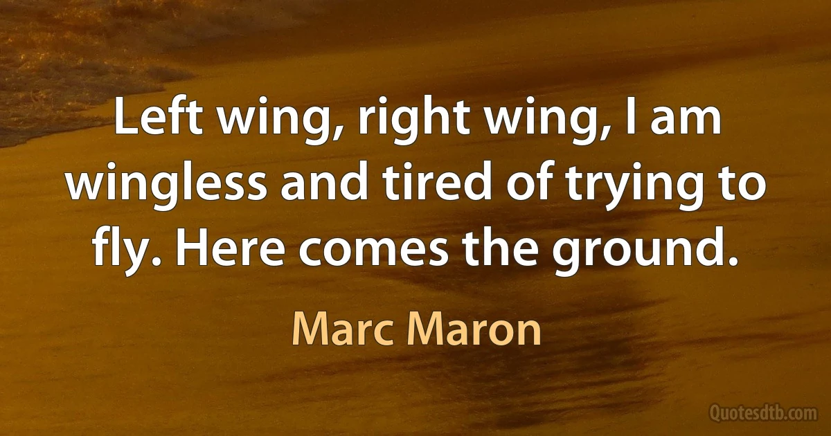 Left wing, right wing, I am wingless and tired of trying to fly. Here comes the ground. (Marc Maron)