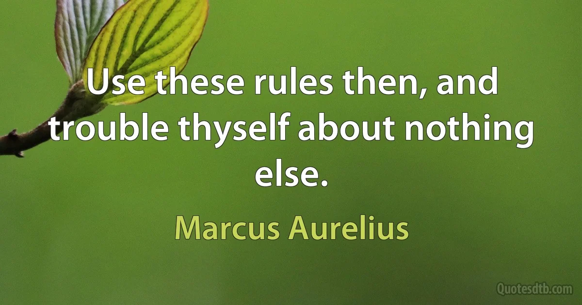 Use these rules then, and trouble thyself about nothing else. (Marcus Aurelius)