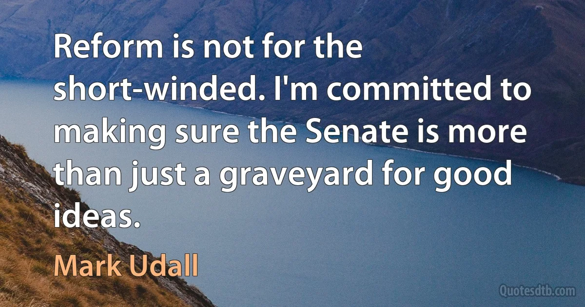 Reform is not for the short-winded. I'm committed to making sure the Senate is more than just a graveyard for good ideas. (Mark Udall)