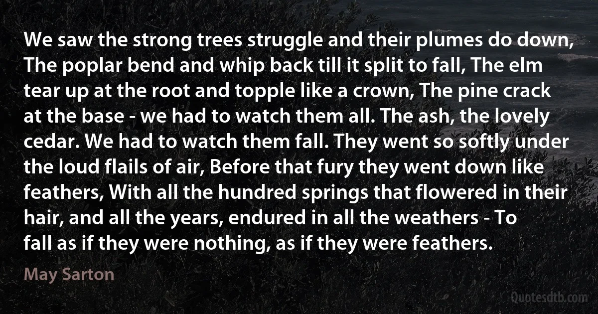 We saw the strong trees struggle and their plumes do down, The poplar bend and whip back till it split to fall, The elm tear up at the root and topple like a crown, The pine crack at the base - we had to watch them all. The ash, the lovely cedar. We had to watch them fall. They went so softly under the loud flails of air, Before that fury they went down like feathers, With all the hundred springs that flowered in their hair, and all the years, endured in all the weathers - To fall as if they were nothing, as if they were feathers. (May Sarton)